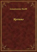 Nettuno - ebook