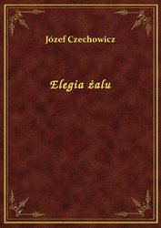 : Elegia żalu - ebook