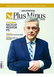 : Plus Minus - e-wydanie – 43/2017