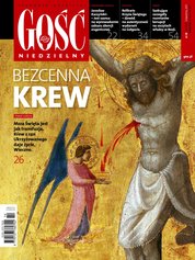 : Gość Niedzielny - Bielsko Żywiecki - e-wydanie – 14/2017