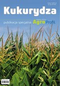 Kukurydza - nawożenie, uprawa, ochrona, odmiany - ebook