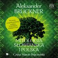 rozmaitości: Mitologia słowiańska i polska - audiobook