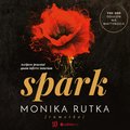 Spark - audiobook