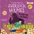 audiobooki: Klasyka dla dzieci. Sherlock Holmes. Tom 6. Dziedzice z Reigate - audiobook