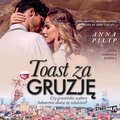 audiobooki: Toast za Gruzję - audiobook