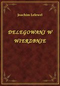 ebooki: Delegowani W Wierzbnie - ebook