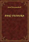 Pani Teodora - ebook