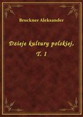 Dzieje kultury polskiej, T. I - ebook