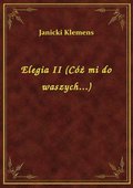 Elegia II (Cóż mi do waszych...) - ebook