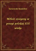 Miłość ojczyzny w poezyi polskiej XIX wieku - ebook