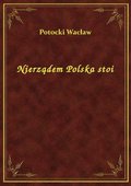 Nierządem Polska stoi - ebook