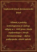 Ułamek z podróży archeologicznej po Galicyi, odbytej w r. 1849 przez Józefa Łepkowskiego i Józefa Jerzmanowskiego : okolica podkarpacka, obwód sądecki - ebook