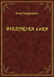 : Bieżyńska Łąka - ebook