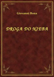 : Droga Do Nieba - ebook
