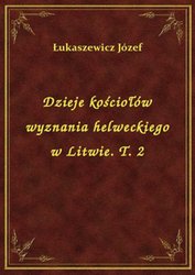 : Dzieje kościołów wyznania helweckiego w Litwie. T. 2 - ebook