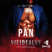 : Pan Nieidealny - audiobook