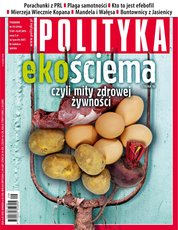 : Polityka - e-wydanie – 29/2013