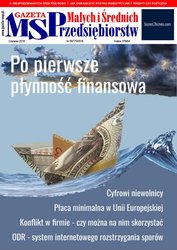 : Gazeta Małych i Średnich Przedsiębiorstw - e-wydanie – 6/2018