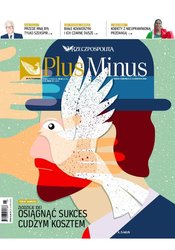 : Plus Minus - e-wydanie – 15/2019