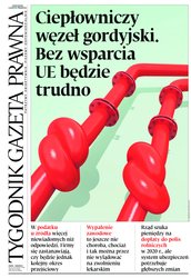 : Dziennik Gazeta Prawna - e-wydanie – 221/2019