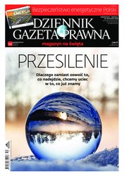 : Dziennik Gazeta Prawna - e-wydanie – 247-248-249/2019