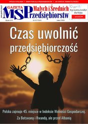 : Gazeta Małych i Średnich Przedsiębiorstw - e-wydanie – 1/2019
