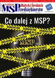 : Gazeta Małych i Średnich Przedsiębiorstw - e-wydanie – 4/2020